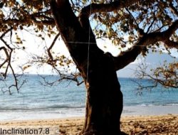 PT Sahabat Nusantara Teknologi Inovasi Lembata jadi Pilot Project Riset Budidaya Malapari