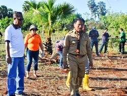 Tekan Laju Inflasi Pemkot Kupang Berdayakan Lahan Kosong