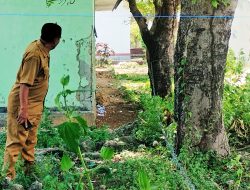 Terbuka Tanpa Pagar Jadi Kendala SMPN 10 Lasiana Jaga Kebersihan