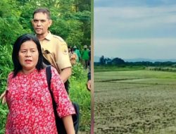 Bantalan Bendungan Babau Jebol, Ratusan Hektar Sawah Terancam Gagal Tanam