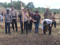 Dukung Revolusi 5P, Polisi Bangun Lahan Contoh Pertanian di Sulamu
