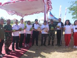 Jelang HUT RI ke 78, Pemkab Kupang Launching Brand Beras Laharoi dan Opa Taklale