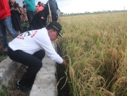 Korinus Bangga, Poktan Tunas Muda Nunkurus Bisa Panen di Musim Kemarau