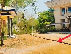 Waspada, Kabel Listrik Diduga Aktif Merintangi Jalan Setapak di Belakang Kantor Disnak Kabupaten Kupang
