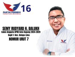 Maju Caleg dari Partai Perindo, Jurnalis Ini Siap Perjuangkan Kesetaraan Anggaran Publik