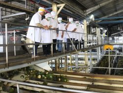 Kunjungi Lampung, Ayodhia Kalake Ajak PT Great Giant Pineapple Berinvestasi di NTT