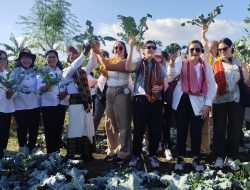 Delegasi Senator Amerika dan PBB Kunjungi Petani READSI di Kupang Barat