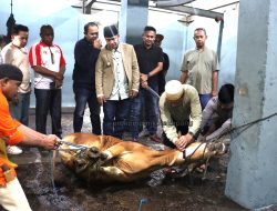 Pemkot Pastikan Daging RPH Bimoku Halal, MUI Cabut Larangan