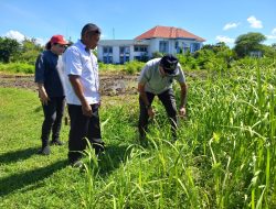 Siap Sambut Bupati dan Wakil Bupati Kupang, Plt Sekda Pimpin ASN Kerja Bakti