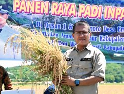 Menuju Swasembada Pangan, Bupati Kupang Panen Padi di Amarasi Timur 