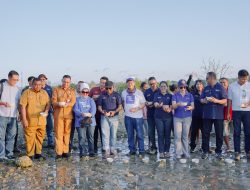 Pemkot Kupang Apresiasi Rotary Rastamores Tanam Mangrove dan Lepas Tukik