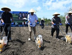Peduli Ketahanan Pangan, Senator NTT Tanam Jagung di Kupang Barat