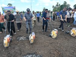 Bupati Kupang Tanam Jagung di Sulamu  Sekaligus Serahkan Bantuan Bibit dan Pupuk