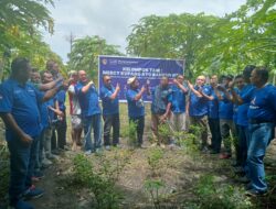 Kebun Contoh Demokrat NTT di Kupang Budidaya Holtikultura. Pepaya dan Ribuan Pohon Cabai Siap Panen