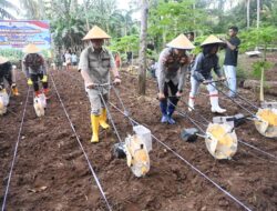 Bupati Kupang Ikut Tanam Jagung Serentak Kuartal I 2026 Polda NTT