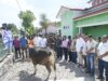 Idul Adha 2026, Bupati Kupang Serahkan Hewan Kurban di 3 Masjid 