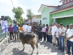 Idul Adha 2026, Bupati Kupang Serahkan Hewan Kurban di 3 Masjid 