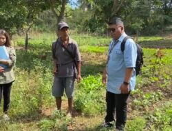 WoW, Tidak Saja Penataan Aset, Kantah Kabupaten Kupang Punya Program Pemberdayaan masyarakat