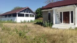 Bangunan Mubazir UPT Perbibitan Babi Fatukanutu Habiskan Anggaran 684 Juta Rupiah 