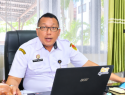 WoW! Kuota Ternak Kabupaten Kupang Naik, Populasi Sapi Tembus 200 Ribu Ekor